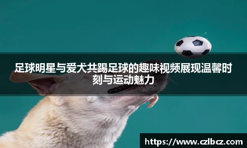 足球明星与爱犬共踢足球的趣味视频展现温馨时刻与运动魅力